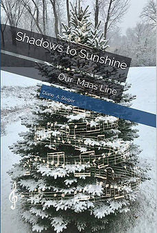 BOOK_COVER_TEMPLATE.png