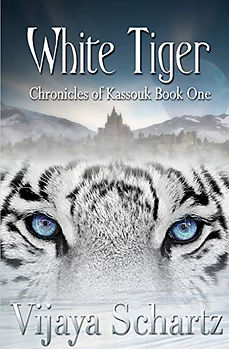 BOOK_COVER_TEMPLATE.png
