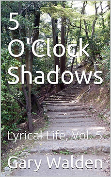 BOOK_COVER_TEMPLATE.png