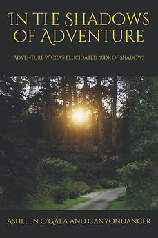 BOOK_COVER_TEMPLATE.png