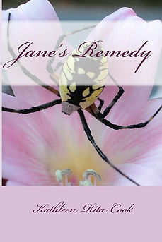 BOOK_COVER_TEMPLATE.png