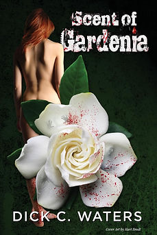 BOOK_COVER_TEMPLATE.png