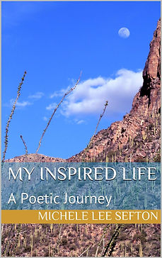 BOOK_COVER_TEMPLATE.png