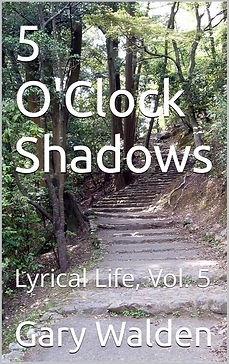 BOOK_COVER_TEMPLATE.png