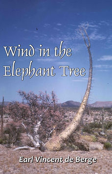 BOOK_COVER_TEMPLATE.png