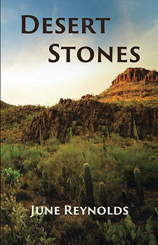 BOOK_COVER_TEMPLATE.png