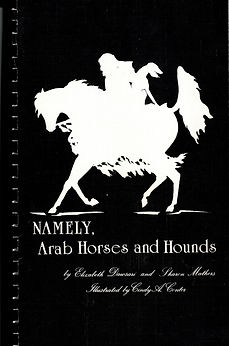 BOOK_COVER_TEMPLATE.png
