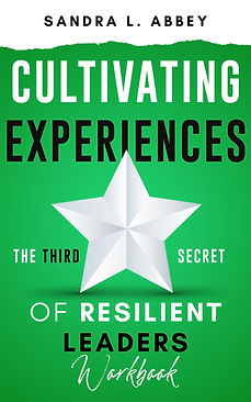 BOOK_COVER_TEMPLATE.png