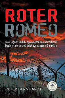 BOOK_COVER_TEMPLATE.png