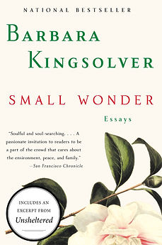 BOOK_COVER_TEMPLATE.png