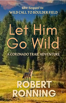 BOOK_COVER_TEMPLATE.png