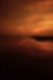 Nature - 64.jpg