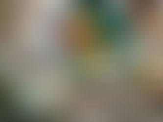 Protein without the Powder