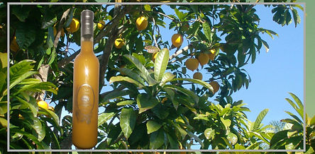 lucuma.jpg