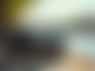 sidecar in Paris River Seine