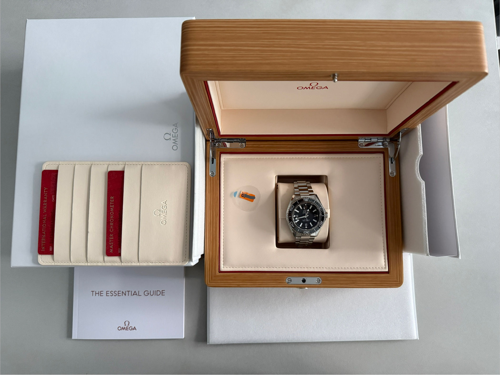 Omega Seamaster Planet Ocean