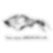 The Veil