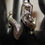Thumbnail: Steel Dragon Wrap Around Ring / Size 10
