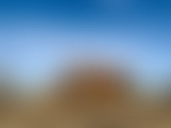 Highland cow standing with her calf in a pasture.