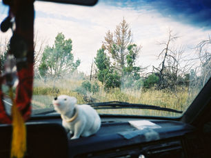 2001 Roadtrip | 8