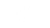 Texturas_web_reverbera-02.png