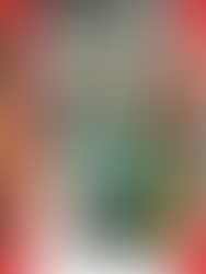 Case Pinotti Imobiliária: Crescimento de leads através do Social