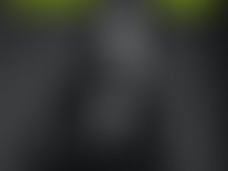 Panthers In the Night