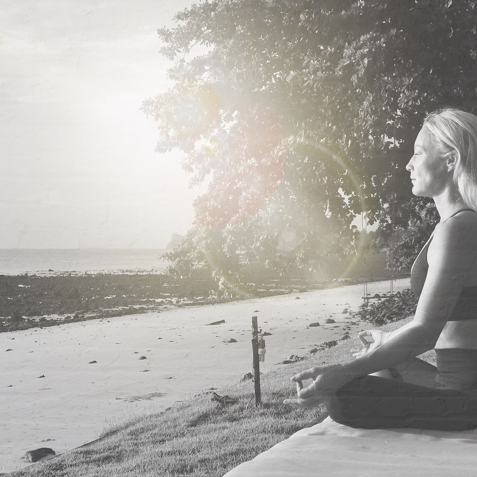 MEDITATIONS Workshop