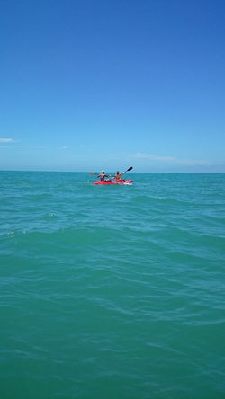 10906388_904805296218274_4889771220832986306_n