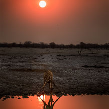 _A3A1668 as Smart Object-1.jpg