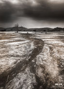 _A3A2064 as Smart Object-1.jpg