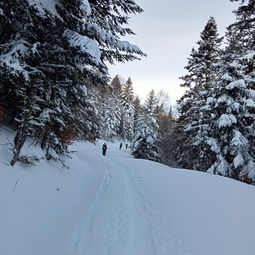 Sortie en bus aux Monts d'Olmes le 25/1/2026