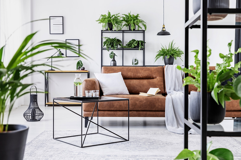 Sala minimalista , com muitas plantas.