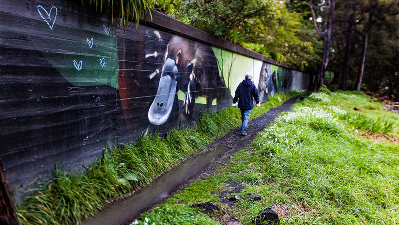 Platypus mural in Warburton