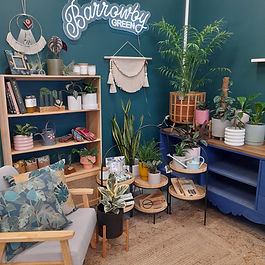Indoor plants retail shop