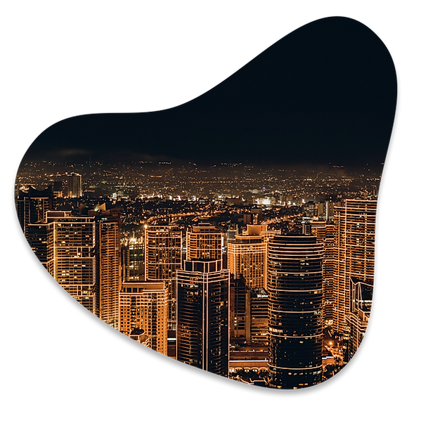 AllWize changes smart cities into wize cities.