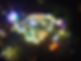 Fuzzy Few Carnival.jpg