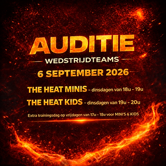 DRAFT AUDITIE.png