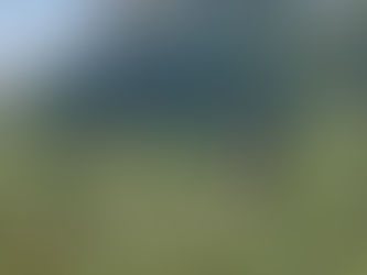 Macérât huileux d'arnica