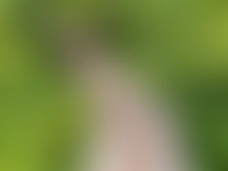 Was ist Dein Ziel? „Mein Ziel ist ...“ – und weiter kam ich nicht!