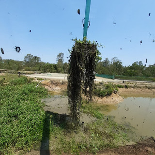 Desilting your dam with Bonelli plant Hire Long Reach Excavator