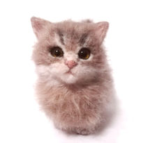 羊毛フェルト　猫　オーダー