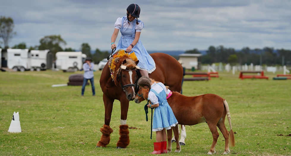 HRC End of Year Gymkhana 2025