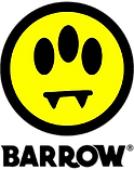 logo Barrow