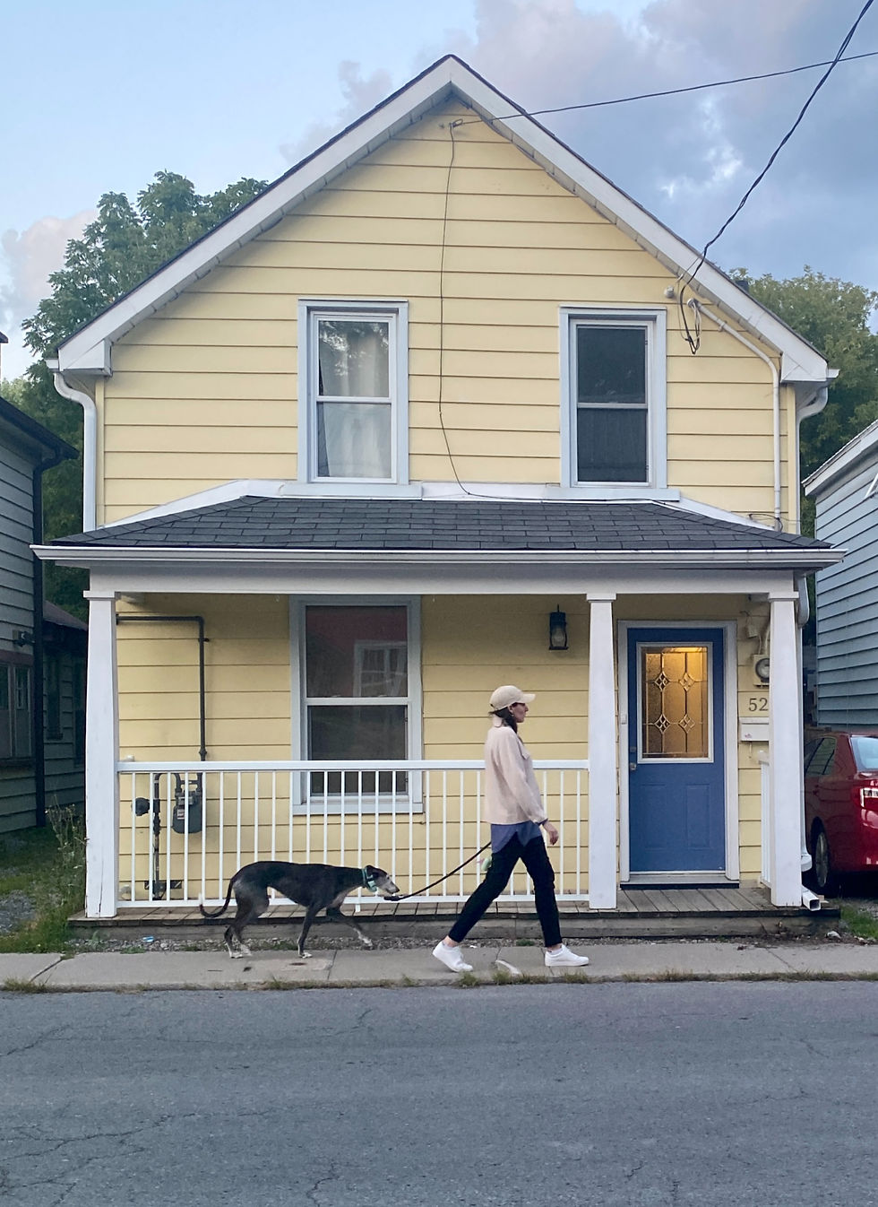 Quiet walks in nature with dogs