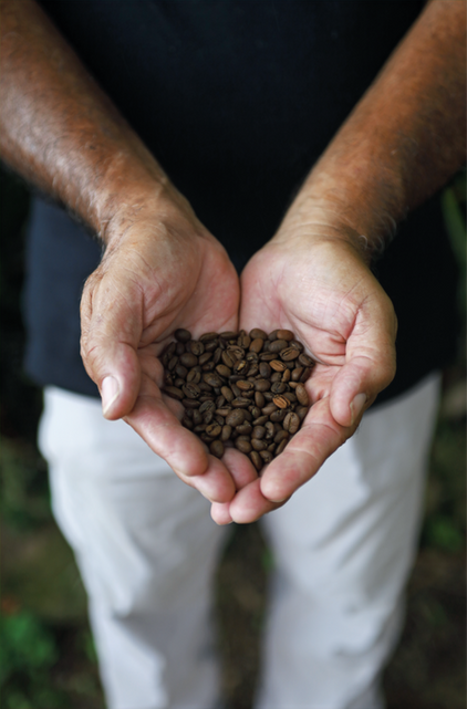 Created content for local coffee brands.