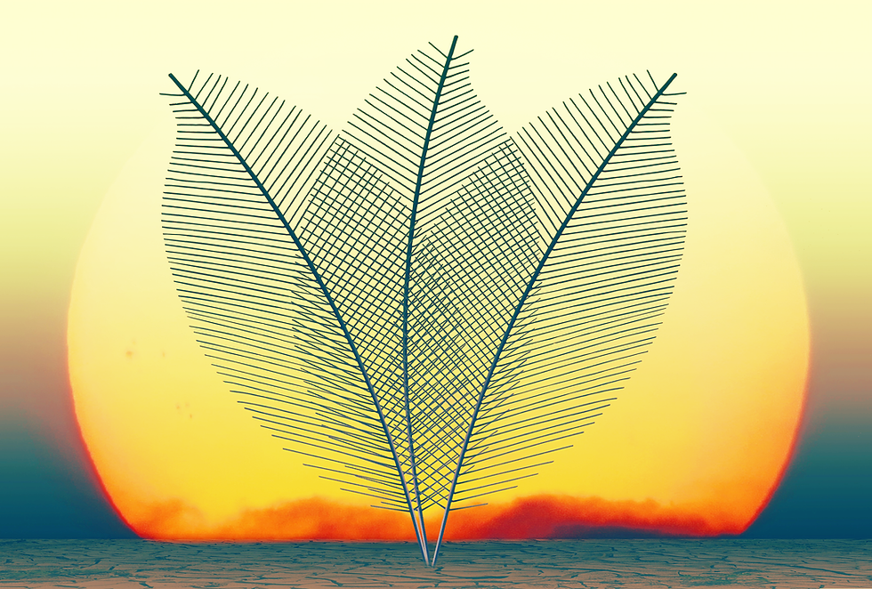 psychedelic integration coach, psychedelic integration therapy, healing, transformation, trauma-informed, soul-led, journey, attachment style