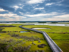 CAPE FEAR LIVING PHOTOGRAPHER OF THE YEAR: PHIL VIZZINI