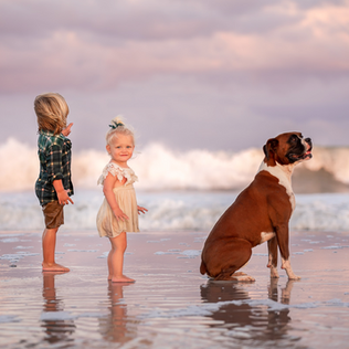 Screenshot 2023-07-22 at 4.50.20 PM.png