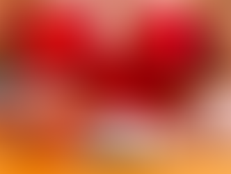 TASTE THE TIDE: Perla Raw Bar’s Signature Oysters and the Farmers Behind Them